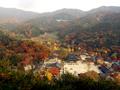 금산사