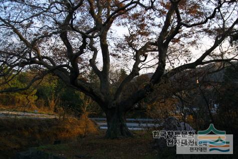 대표시청각 이미지