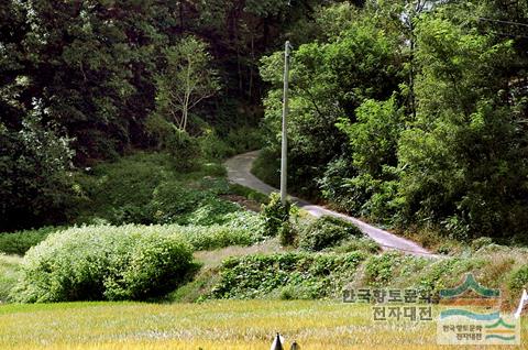 대표시청각 이미지