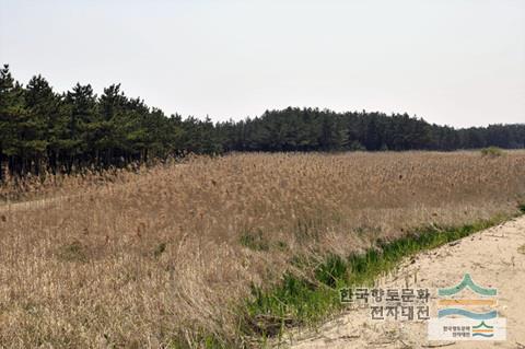 대표시청각 이미지