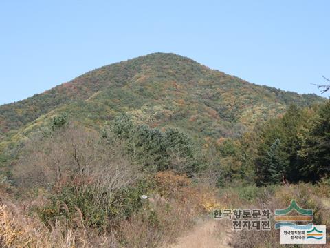 대표시청각 이미지