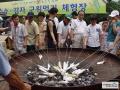 수안보대학찰옥수수축제 옥수수 굽기 썸네일 이미지