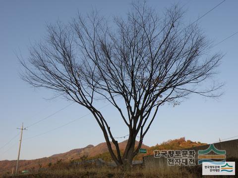 대표시청각 이미지