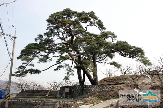 대표시청각 이미지