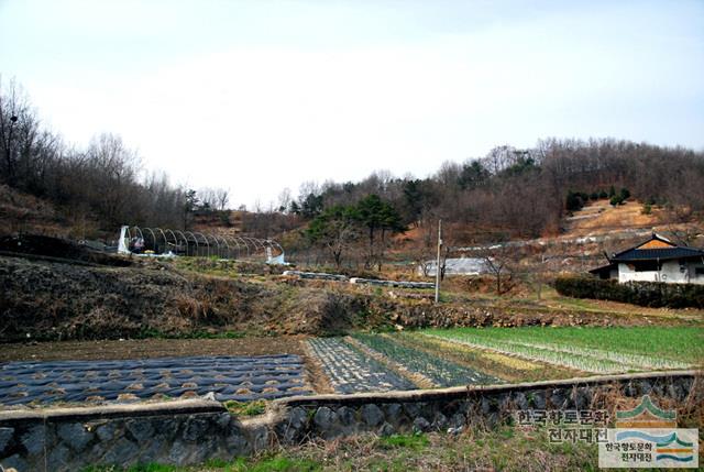 대표시청각 이미지