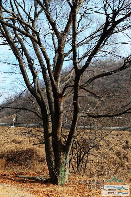 대표시청각 이미지