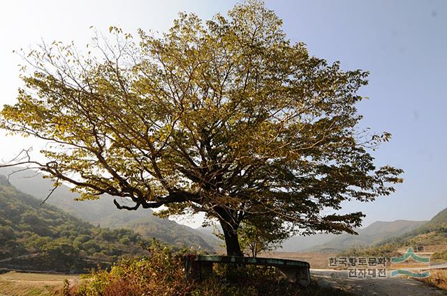 대표시청각 이미지