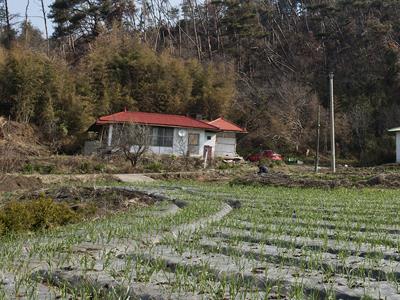 강수리 유물 산포지 썸네일 이미지