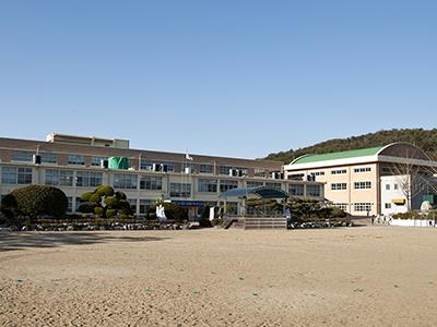 부성초등학교 썸네일 이미지