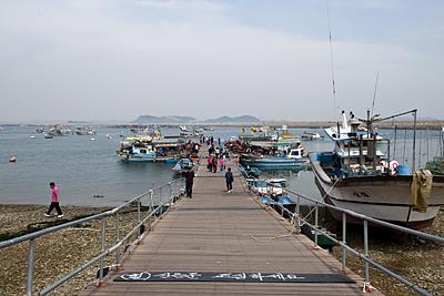 삼길포 우럭축제 선상 어시장 썸네일 이미지