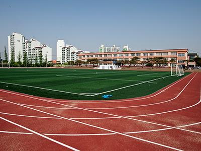 서산중학교 운동장 썸네일 이미지