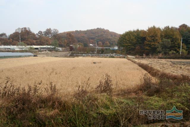 대표시청각 이미지