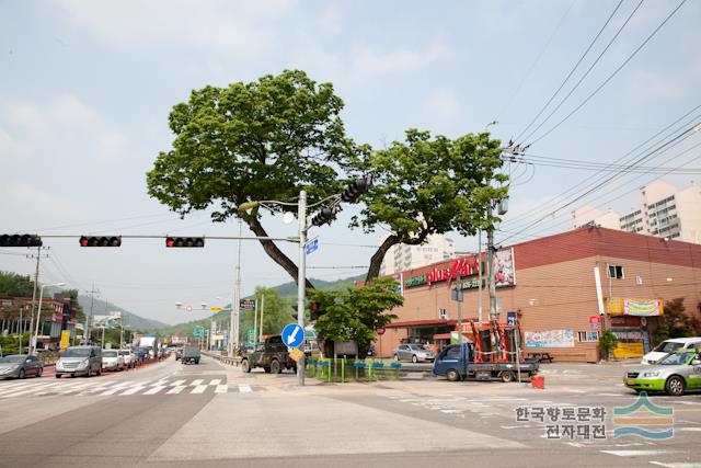 대표시청각 이미지