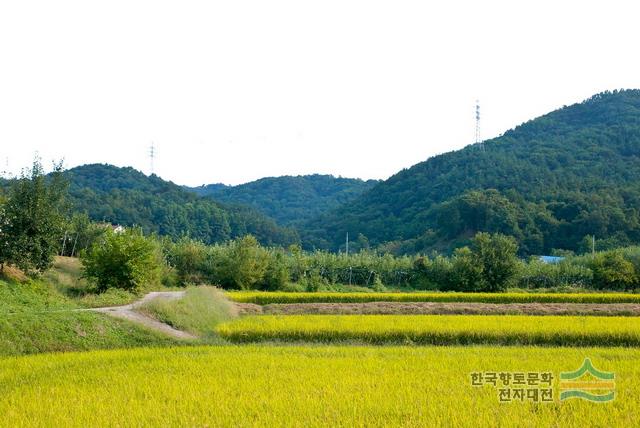 대표시청각 이미지