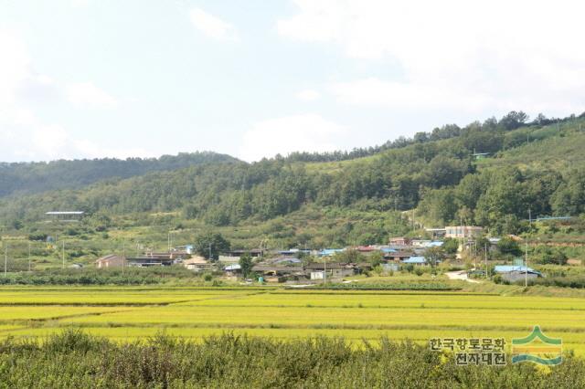 대표시청각 이미지