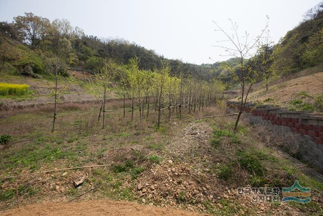 대표시청각 이미지