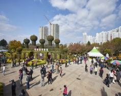 천만송이 국화축제